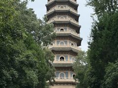-灵谷景区