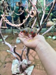 -Zoolung Zoolung动物主题公园(海信广场店)