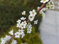 -后襄河公园