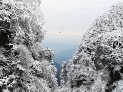 -峨眉山风景名胜区