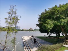 -顺峰山公园