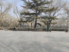 -康庄公园
