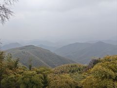 -莫干山风景区