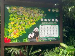 -海南热带野生动植物园