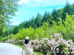-参仙谷生态旅游度假区