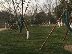 -武汉园博园(武汉自然博物馆)