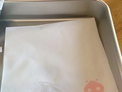 -WHEN PIGS FLY当猪飞
