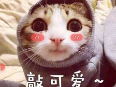 -食武士·舒芙蕾(新街口明瓦廊店)