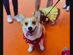 -东浩兰生上海世博展览馆