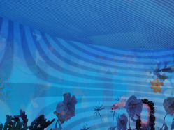 点击看大图 -超级奈尔宝SUPER NEOBIO(杭州星光店)