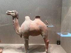 -敦煌市博物馆
