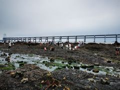 -黑石礁公园