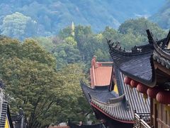 -野蔓果·山野菜(西湖景区·龙井茶田店)