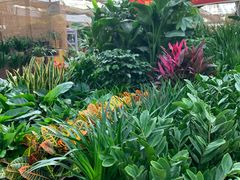 -秦美花卉(天朗·莱茵小城2期店)