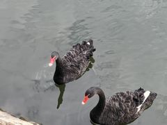 -泉州海丝野生动物世界