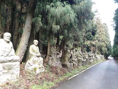 -武陵山森林公园