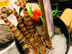 苏格兰蛏子皇-鲜入围煮花胶鸡海鲜火锅