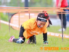 -春花秋色城市公园