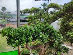 -大笑饭堂(甲子桥店)