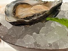 -Oyster Talks 四度蚝法餐厅