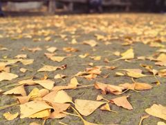 -无锡惠山寺