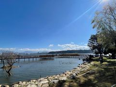 -洱海月湿地公园