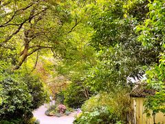 -杭州半山国家森林公园