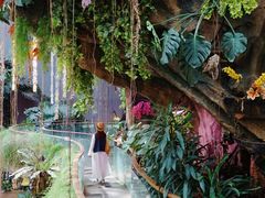 -正佳雨林生态植物园