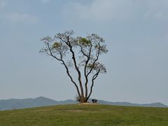 -东钱湖旅游度假区