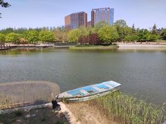 -大望京公园
