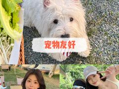 -上海山野camping·户外天幕烧烤·团建拓展营地
