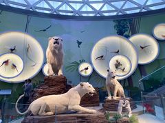 -陕西自然博物馆