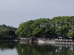 -白马涧龙池景区