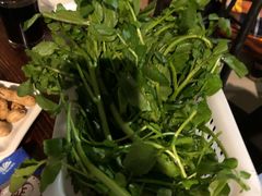 -正能量脆肉鲩火锅