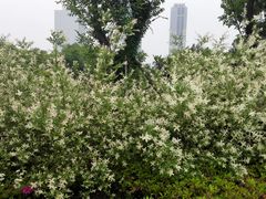 -尚贤河湿地