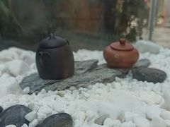 -霸王茶姬(南强街店)