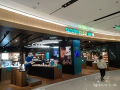-sundanpulse顺电·脉(海岸城购物中心店)