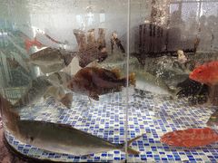 -寻味顺德·珍之宝酒楼(银钻店)