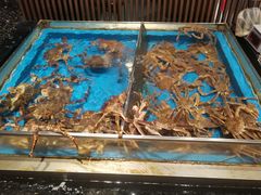 -蟹将军·松叶蟹和牛日料放题自助(K11店)
