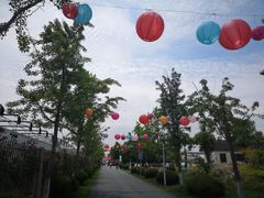-菊园百果园