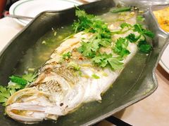 碳烤鲈鱼-T&K 海鲜