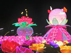 -映月湖公园