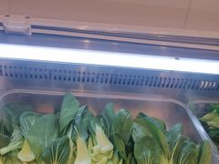 -成老灶火锅鸡(平山店)