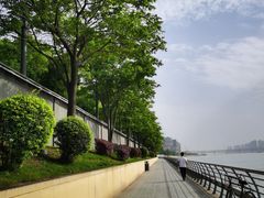 -武昌江滩