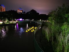 -金砂公园