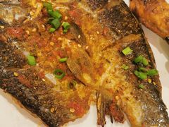 -龚海宝· 烧烤· 羊肉原切挂糊更好吃(庄市店)
