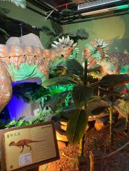 -恐龙探索乐园(磁器口店)