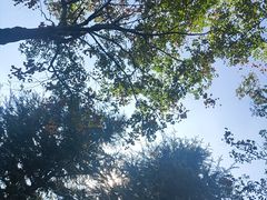 -济南国际园博园