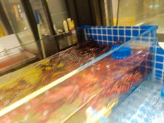 -锅儿欢海鲜火锅烤肉自助餐(东港凯虹店)