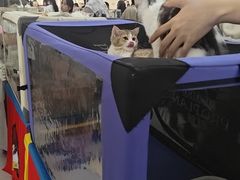 -金牛万达广场